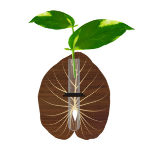 دکوری یخچالی طرح برگ