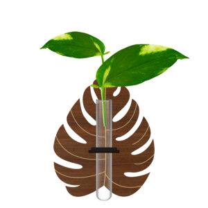 دکوری یخچالی طرح برگ انجیری