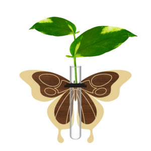 دکوری یخچالی طرح پروانه 1
