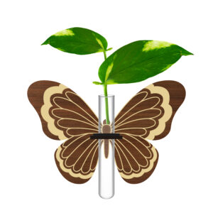دکوری یخچالی طرح پروانه 2