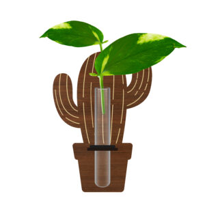 دکوری یخچالی طرح کاکتوس 1